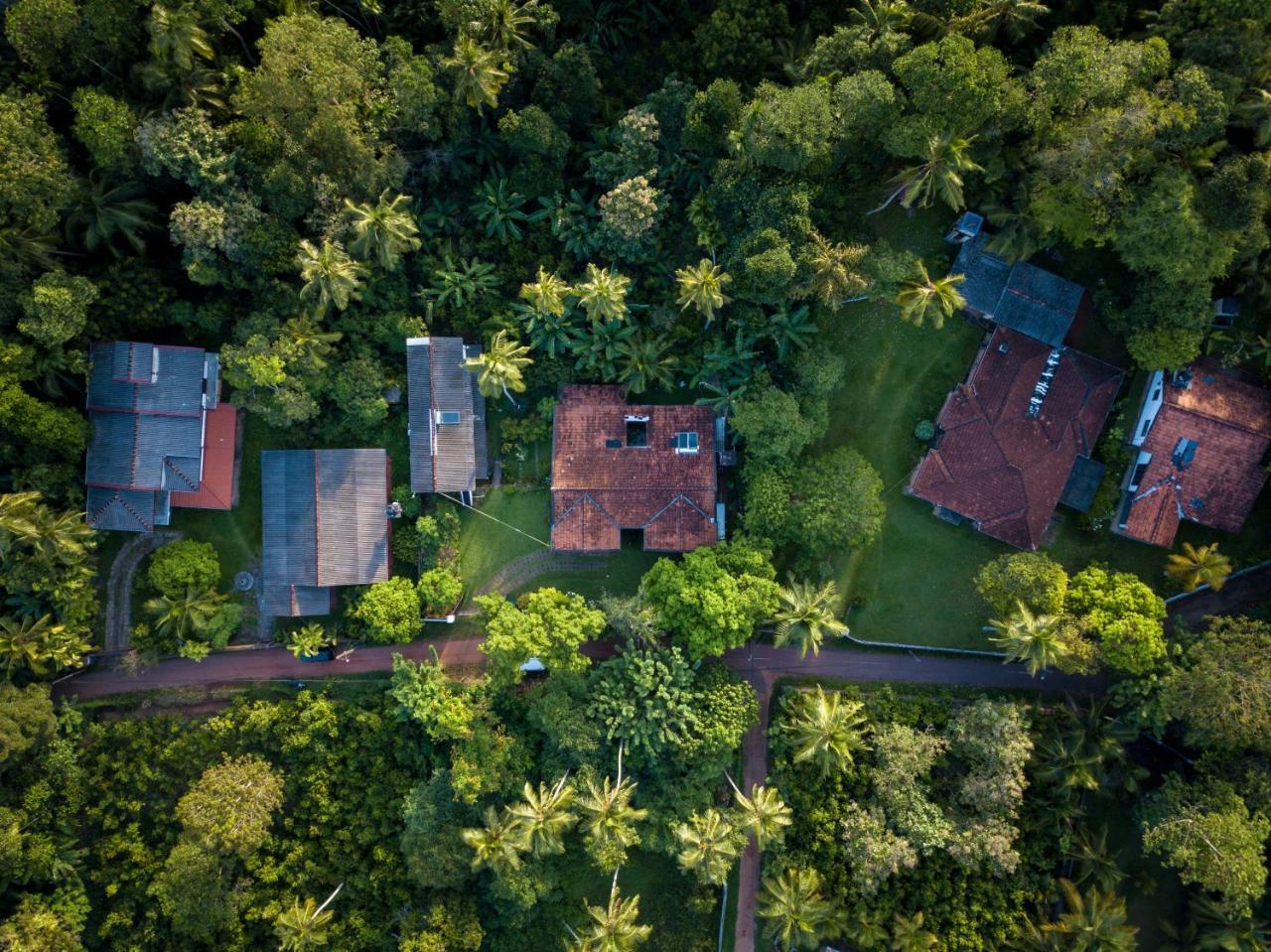 Hikkanest Hikkaduwa Exterior foto